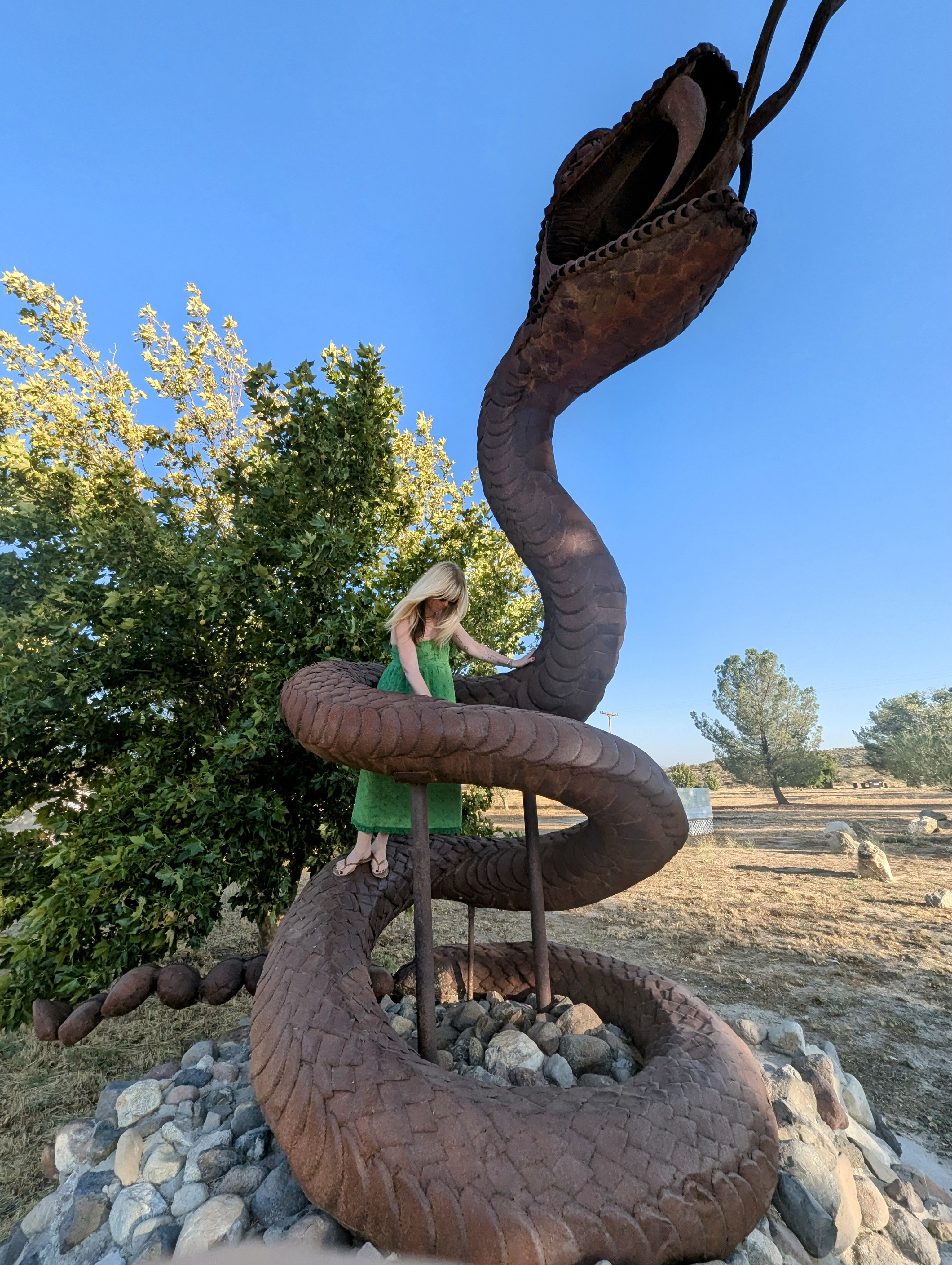 big-snake